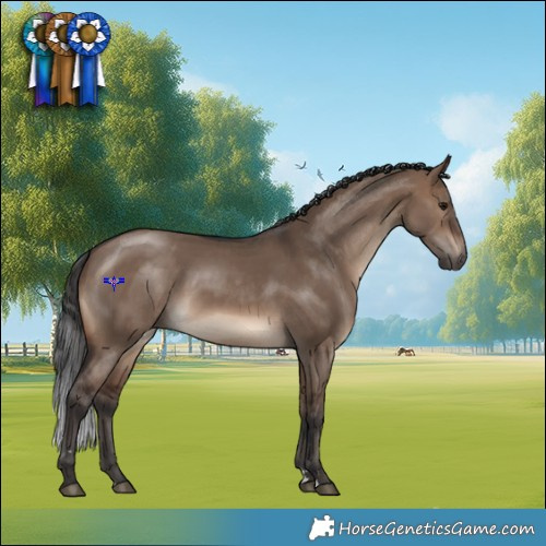 Horse Color:Brown Dun Rabicano 