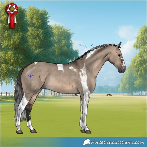 Horse Color:Brown Dun Tobiano Rabicano 