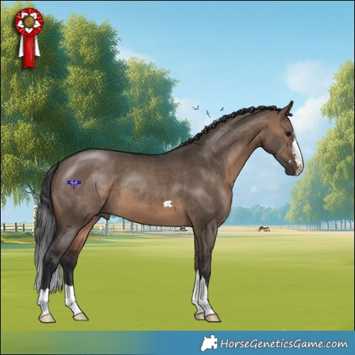 Horse Color:Brown Dun