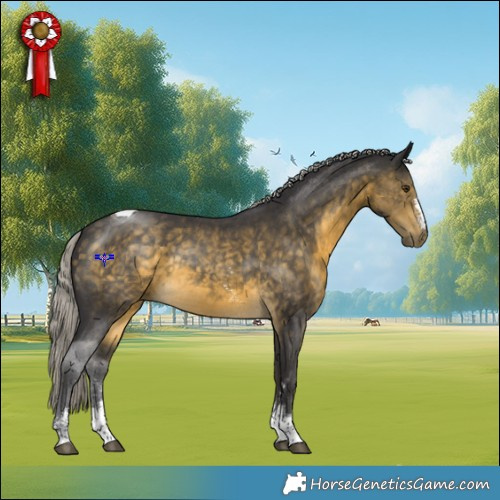 Horse Color:Silver Buckskin Mushroom Sabino Tobiano Rabicano