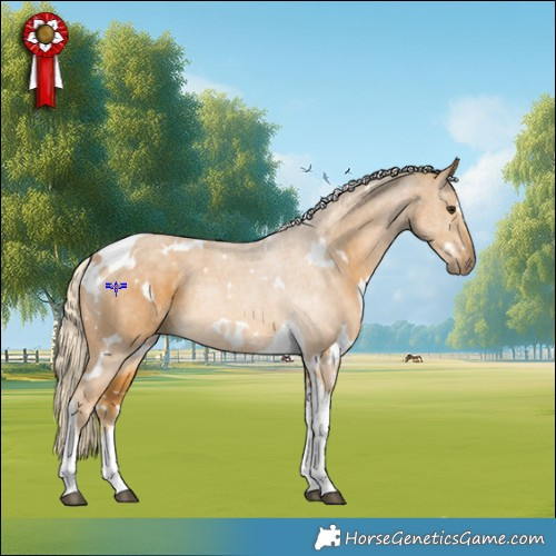 Horse Color:White Spotted Palomino Tobiano Rabicano 