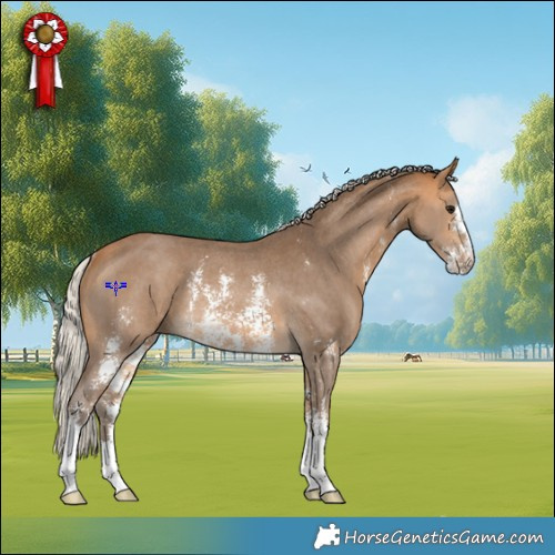 Horse Color:Silver Buckskin Sabino Rabicano 