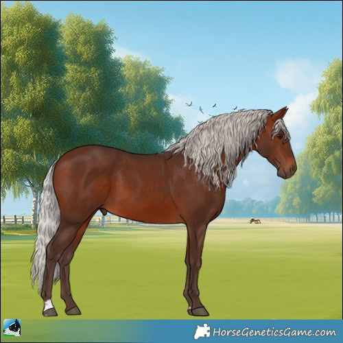 Horse Color:Silver Brown 