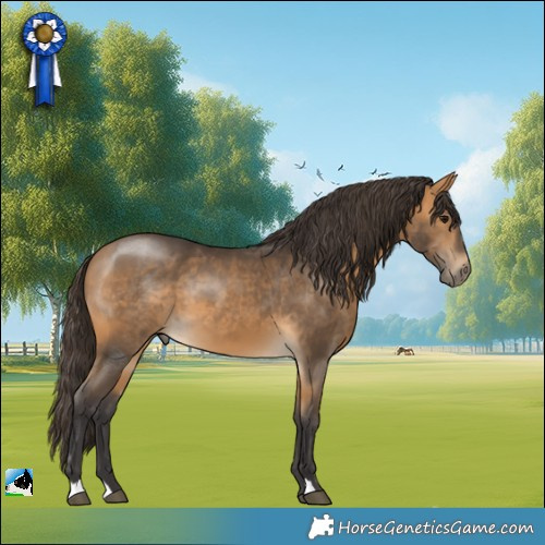 Horse Color:Buckskin 