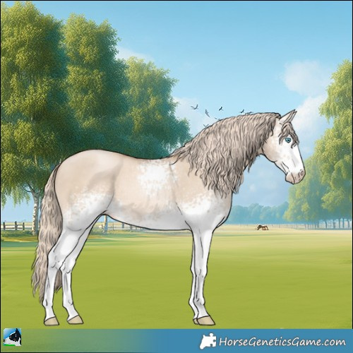 Horse Color:White Spotted Chocolate Palomino Pearl Dun 
