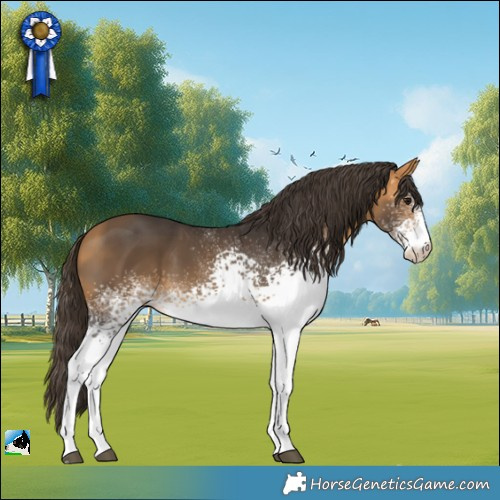 Horse Color:White Spotted Buckskin 