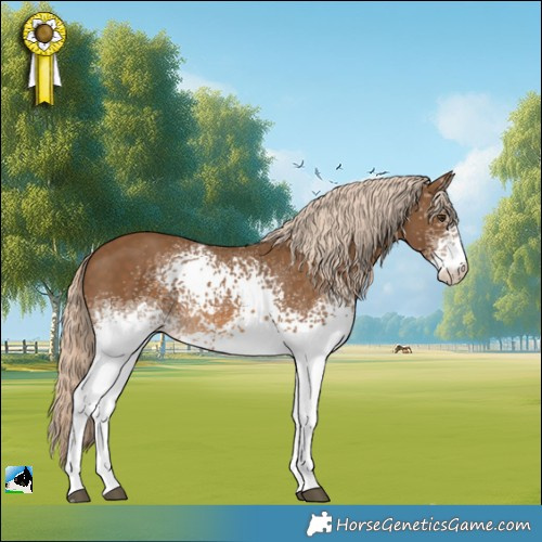 Horse Color:White Spotted Chocolate Palomino 