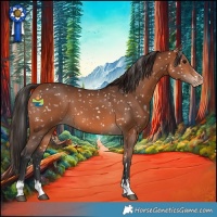 Horse Color:Bay Snowflake Varnish 