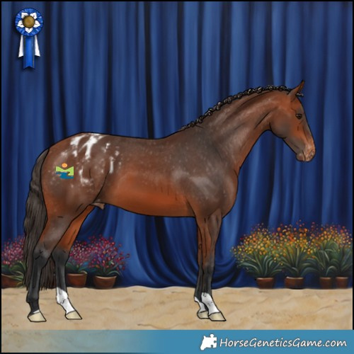 Horse Color:Bay Varnish 
