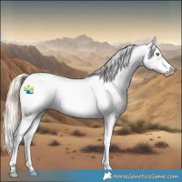 Horse Color:Gold Champagne Dun Sabino Splash Frame 