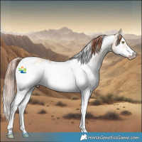 Horse Color:White Spotted Gold Champagne Dun Sabino Splash Frame