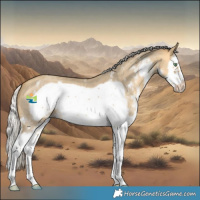 Horse Color:Silver Amber Cream Champagne Dun Sabino Splash Frame
