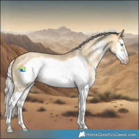 Horse Color:Silver Amber Cream Champagne Dun Sabino Splash Frame 