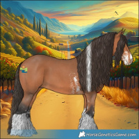Horse Color:Bay Sabino Tobiano