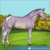 Horse Color:Watercolor Chocolate Palomino Dun Tobiano
