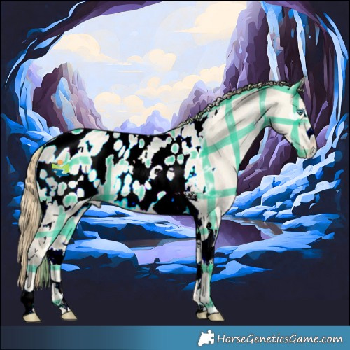 Horse Color:Plaid  White Spotted Perlino Dun Splash Tobiano Appaloosa 