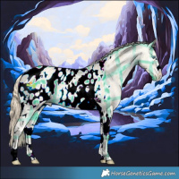 Horse Color:Plaid White Spotted Perlino Dun Splash Tobiano Appaloosa