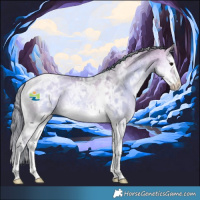 Horse Color:Watercolor White Spotted Buckskin Ice Onyx Splash Tobiano 