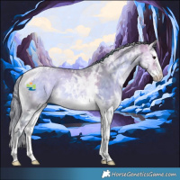 Horse Color:Watercolor White Spotted Buckskin Ice Onyx Splash Tobiano 