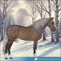 Horse Color:Silver Brown Dun 