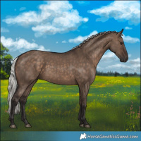 Horse Color:Silver Brown Dun 