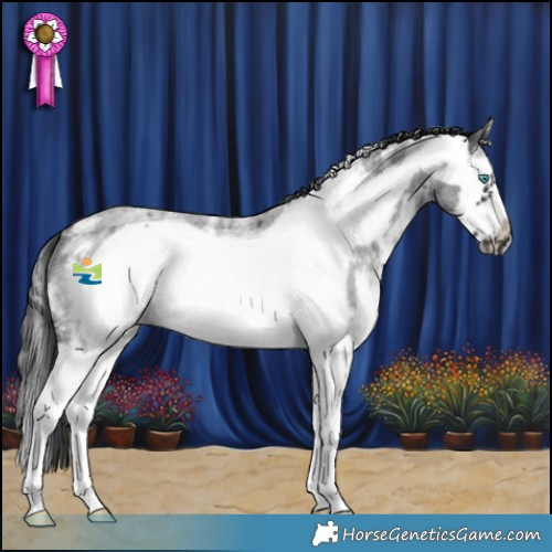 Horse Color:Blue Roan Sabino Splash Frame Rabicano 