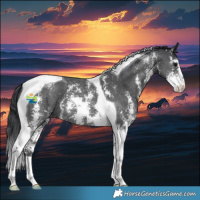 Horse Color:Black Sabino Tobiano 