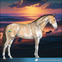Horse Color:Buckskin Sabino Rabicano 