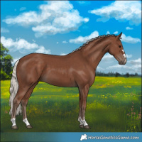 Horse Color:Silver Black 