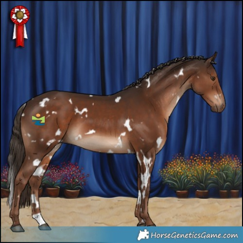 Horse Color:White Spotted Liver Chestnut 