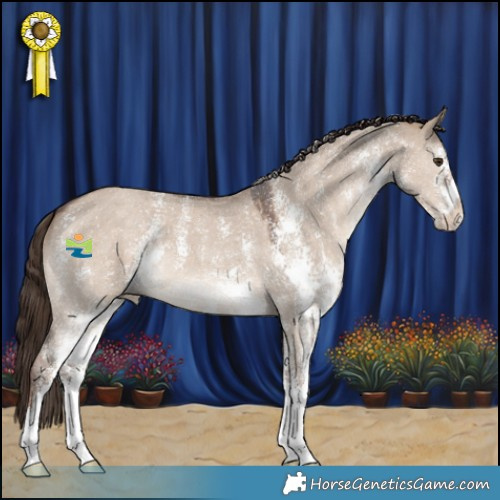 Horse Color:Liver Red Dun Sabino 