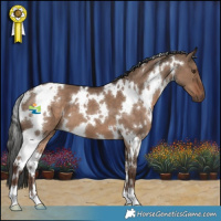 Horse Color:White Spotted Liver Red Dun 