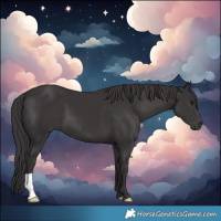Horse Color:Smoky Black 