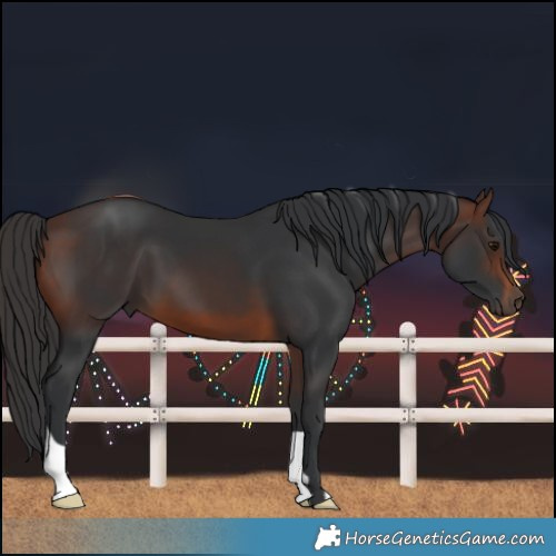 Horse Color:Brown 