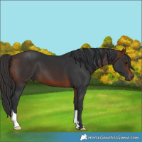 Horse Color:Brown 