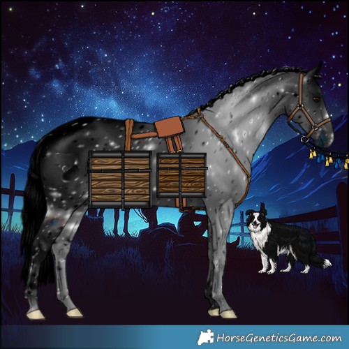 Horse Color:ERROR: UNKNOWN ANOMALY