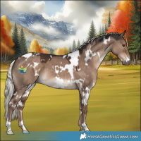 Horse Color:White Spotted Liver Red Dun Mushroom