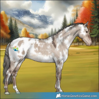 Horse Color:White Spotted Liver Red Dun Mushroom Appaloosa 
