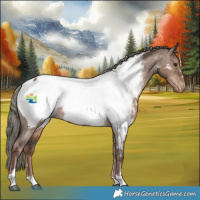 Horse Color:Liver Red Dun Mushroom Snowcap 