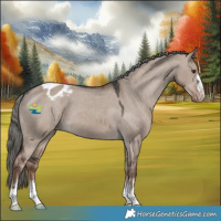 Horse Color:Liver Red Dun Mushroom Varnish