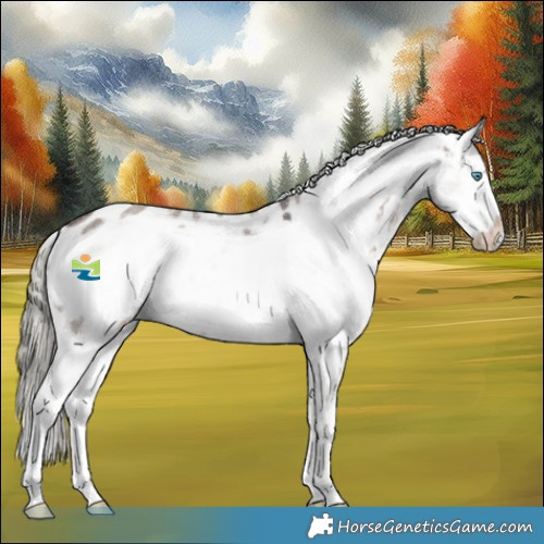 Horse Color:Liver Red Dun Mushroom Sabino Frame Appaloosa 