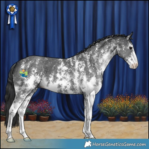 Horse Color:Black Sabino 