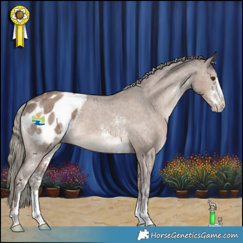 Horse Color:Liver Red Dun Mushroom Sabino Appaloosa 