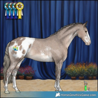 Horse Color:Liver Red Dun Mushroom Sabino Varnish 