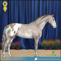 Horse Color:Liver Red Dun Mushroom Sabino Appaloosa