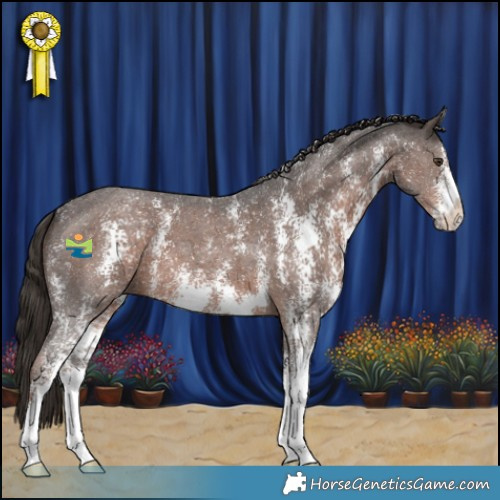 Horse Color:Liver Chestnut Sabino 