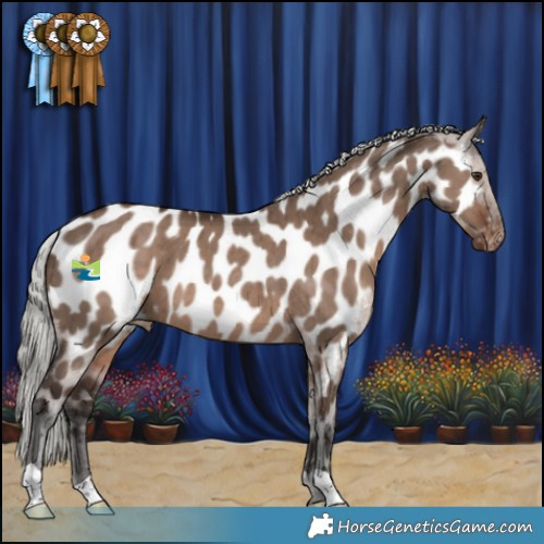 Horse Color:Liver Red Dun Mushroom Appaloosa Brindle 