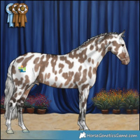 Horse Color:Liver Red Dun Mushroom Near Leopard Brindle 