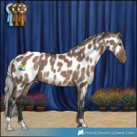 Horse Color:Liver Red Dun Mushroom Near Leopard Brindle 