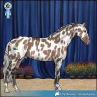 Horse Color:Liver Red Dun Mushroom Appaloosa Brindle